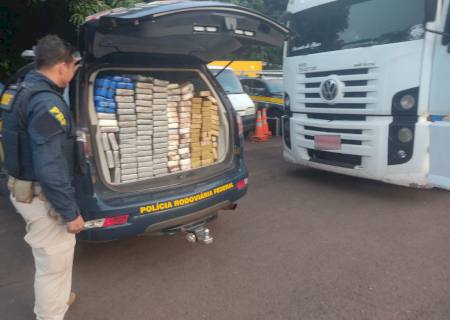 Com a ajuda de cães farejadores, PRF realiza apreende carga de cocaína em Campo Grande