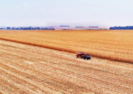 Valor Bruto da Produção Agropecuária de MS apresenta crescimento de 17,85% nos últimos 3 anos