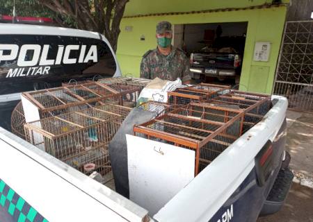 Motorista é autuado por criação ilegal de aves silvestres em Corumbá