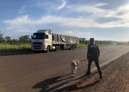 Dracco apreende carreta com cocaína que seria exportada para Europa