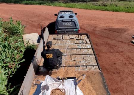 Vídeo: Ação do DOF descobre mais de 1,5 ton de maconha em fundo falso de caminhonete