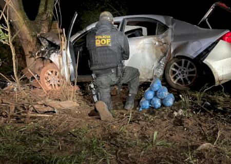 Traficante fura bloqueio do DOF e colide carro com maconha em árvore em Iguatemi