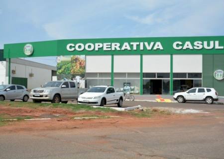 Nova unidade de cooperativa em Bataguassu abre caminho para expansão do amendoim em MS