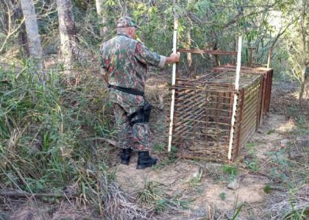 Polícia Ambiental realiza fiscalização contra caçadores em reserva florestal de fazenda em Batayporã