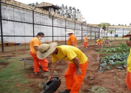 Trabalho no sistema penitenciário gera economia de R$ 44 milhões por ano em MS