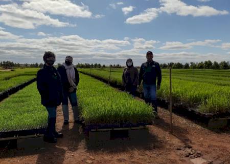 Adecoagro e Apae anunciam parceria para inclusão de pessoas com deficiência no mercado de trabalho