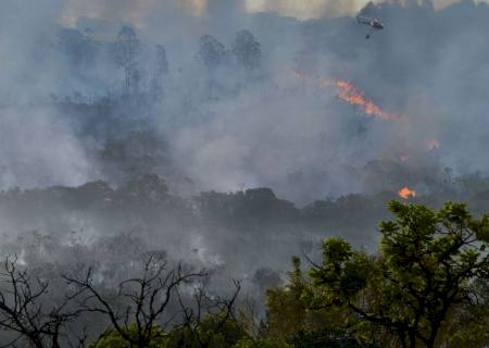 Força Nacional combaterá incêndios florestais e queimadas no Amazonas