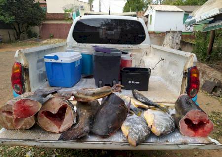 PMA prende e autua paranaense por capturar pescado acima da cota permitida