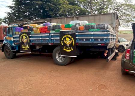 DOF apreende mais de 11 toneladas de maconha em Coronel Sapucaia