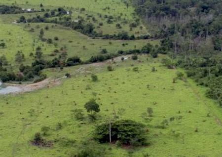 Proprietário rural pode emitir Certificado de Cadastro de Imóvel