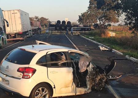 Anta cruza rodovia e causa acidente na BR-267 em Nova Casa Verde