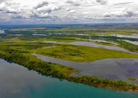 CESP pretende atrair pesquisadores para a Reserva Cisalpina