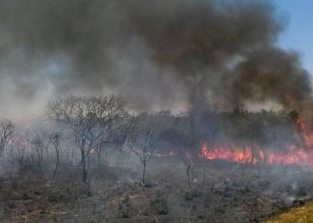 Plano ABC+ entra em vigor em setembro e vai reduzir emissão de carbono