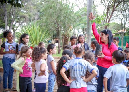 Batayporã: no Dia da Árvore, estudantes plantam mudas e Prefeitura divulga conta educativa no Instagram