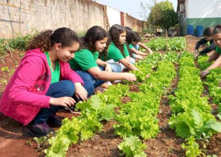 Agraer participa da implantação de sistema de irrigação e sombreamento em escola de Glória de Dourados