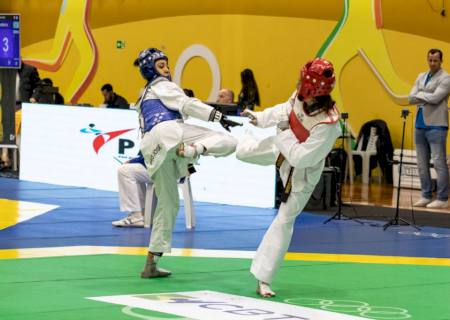 Mato Grosso do Sul fica entre os melhores do país no Campeonato Brasileiro de Taekwondo