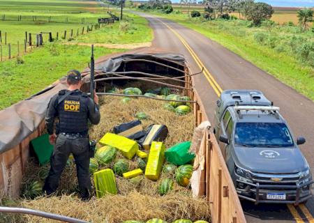 Irmãos do Rio Grande do Sul são presos pelo DOF com mais de 660 kg de droga em carga de melancia