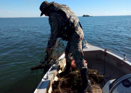 Piracema começou em três rios na bacia do Paraná