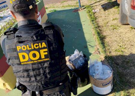 DOF apreende maconha e skunk escondidos dentro de galões de tintas