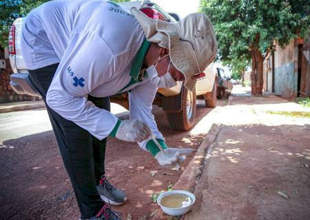 Mutirão da dengue: agentes de saúde e de endemias intensificam vistorias em Batayporã