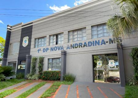 Delegacia de Nova Andradina realizou 224 prisões em flagrante em 2022