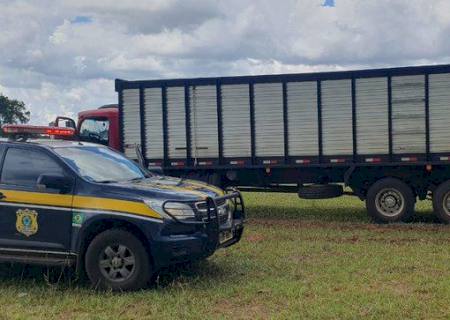 Após perseguição e troca de tiros, PRF recupera caminhão roubado no Mato Grosso