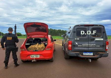 DOF apreende carga de maconha que seguia para Campo Grande