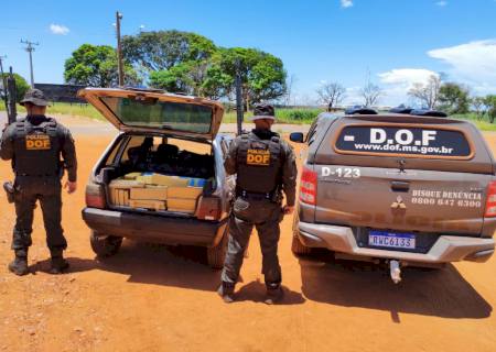 Jovem é preso com quase 300 kg de maconha e skunk em Ponta Porã