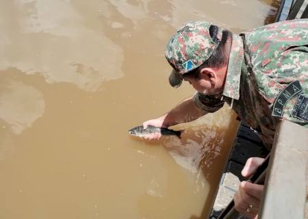 Polícia Ambiental prende pescador por pescar durante a Piracema no rio Ivinhema