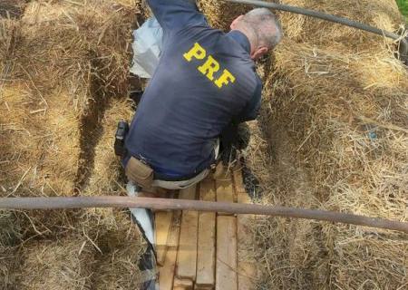 PRF apreende 7,5 toneladas de maconha em meio a carga de feno em Nova Alvorada do Sul