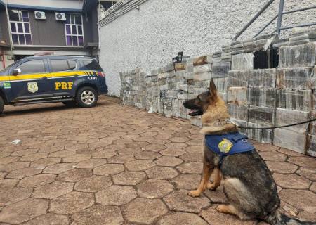 PRF faz a maior apreensão de cocaína da história em Mato Grosso do Sul