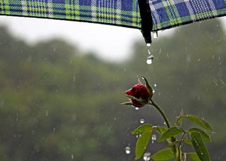 Terça-feira segue com tempo instável, com previsão de chuva em diferentes regiões