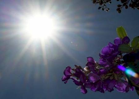 Previsão é de terça-feira com temperaturas em elevação em MS