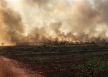 Brasil registra alta na emissão de gases de efeito estufa