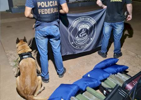 Polícia Federal apreende carga de maconha em ação com cães na BR-262