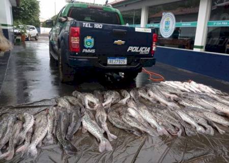 PMA prende 8 por crimes ambientais, apreende 360 kg de pescado e duas aves em extinção