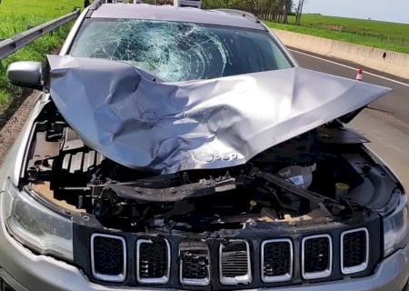 Jeep com placas de Nova Andradina se envolve em acidente com morte em Presidente Venceslau (SP)