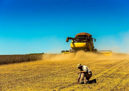 Colheita da soja atinge 91,1%. Confira desempenho de cada estado