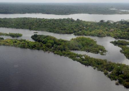 Brasileiro tem sentimento de vulnerabilidade ecológica e climática