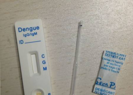 Vereadores cobram aquisição de teste rápido para diagnóstico de dengue