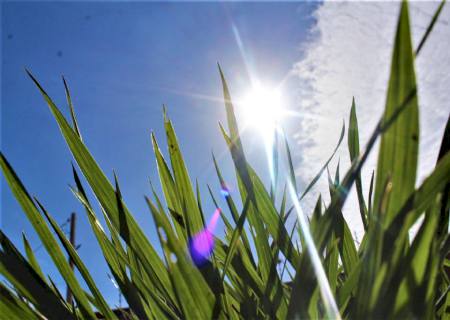 Temperaturas globais devem subir a níveis recordes nos próximos anos