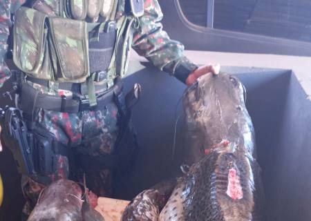 PMA apreende pescado e petrechos de pesca em rancho em Nova Alvorada do Sul