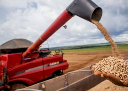 Aumento da temperatura vai afetar a produção de feijão no Brasil