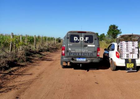 Contrabandista é preso com 300 pacotes de cigarros em Ponta Porã