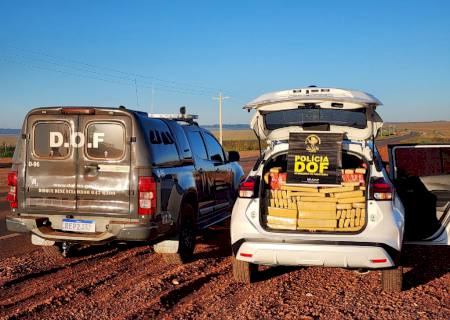 DOF apreende veículo roubado carregado com mais de 800 kg de maconha em Ponta Porã