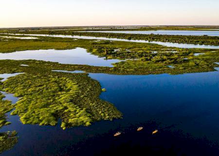 Pantanal tem 85% da área preservada e redução do desmatamento