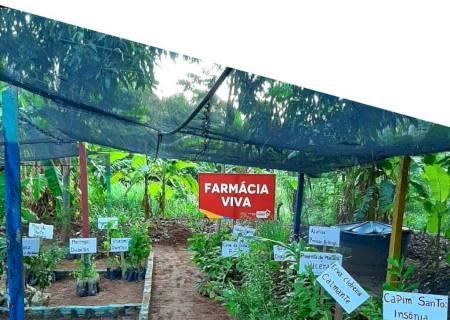 Vereadores mobilizam Governo Municipal para implantar ''Farmácia Viva'' em Nova Andradina