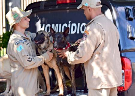 Equipe de resgate e salvamento com cão farejador do Corpo de Bombeiros vai auxiliar nas buscas por adolescente