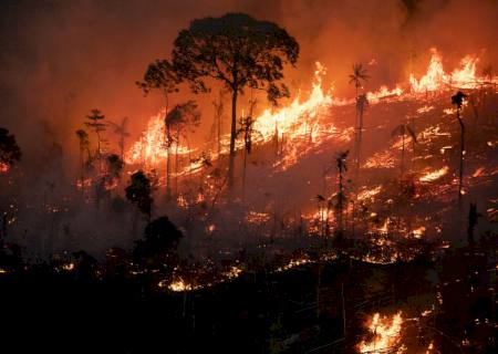 País teve 2,15 milhões de hectares queimados no primeiro semestre