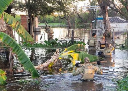 PF combate a caça ilegal de onça-pintada no Pantanal